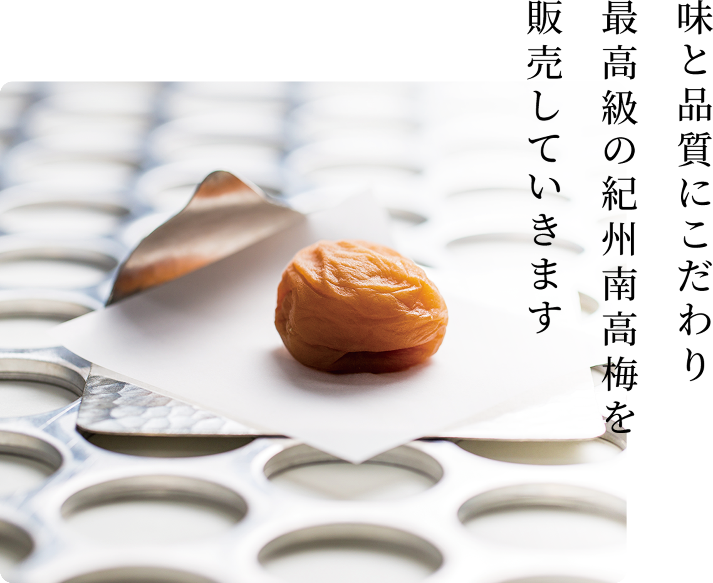 味と品質にこだわり最高級の紀州南高梅を販売していきます