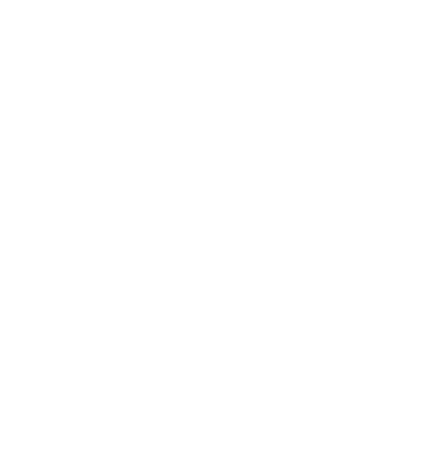 ORDER