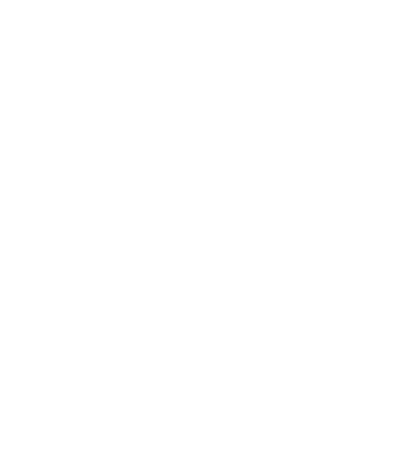 ORDER
